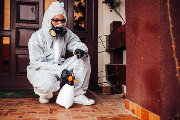 Reliable Bed Bug Control contractor in Bristol, TN by Nex Pest Control
